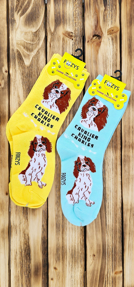 Canine Foozys Socks - Cavalier King Charles