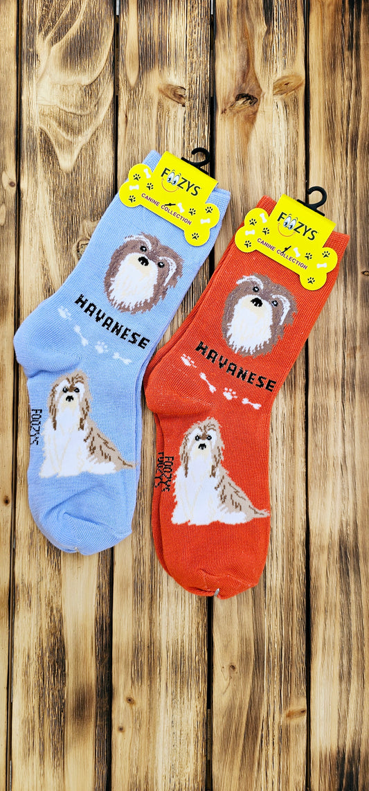 Canine Foozys Socks - Havanese